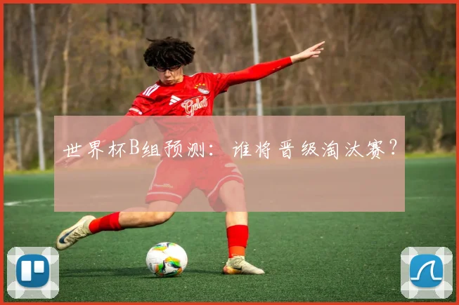 世界杯B组预测:谁将晋级淘汰赛?