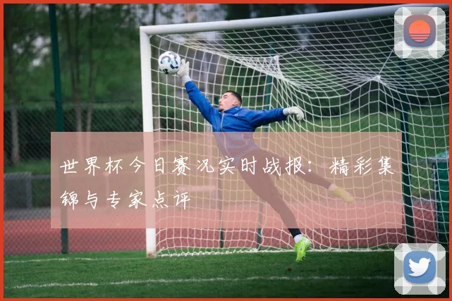 世界杯今日赛况实时战报：精彩集锦与专家点评