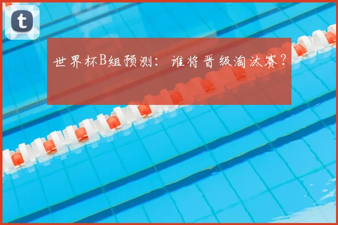 世界杯B组预测:谁将晋级淘汰赛?