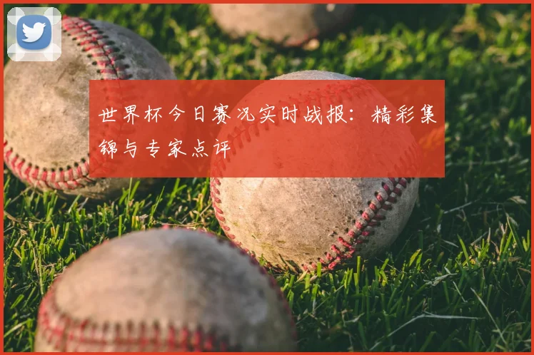 世界杯今日赛况实时战报：精彩集锦与专家点评