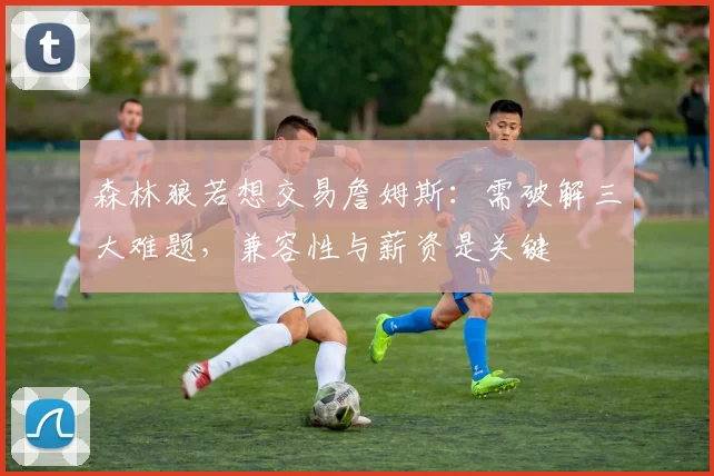 森林狼若想交易詹姆斯:需破解三大难题,兼容性与薪资是关键